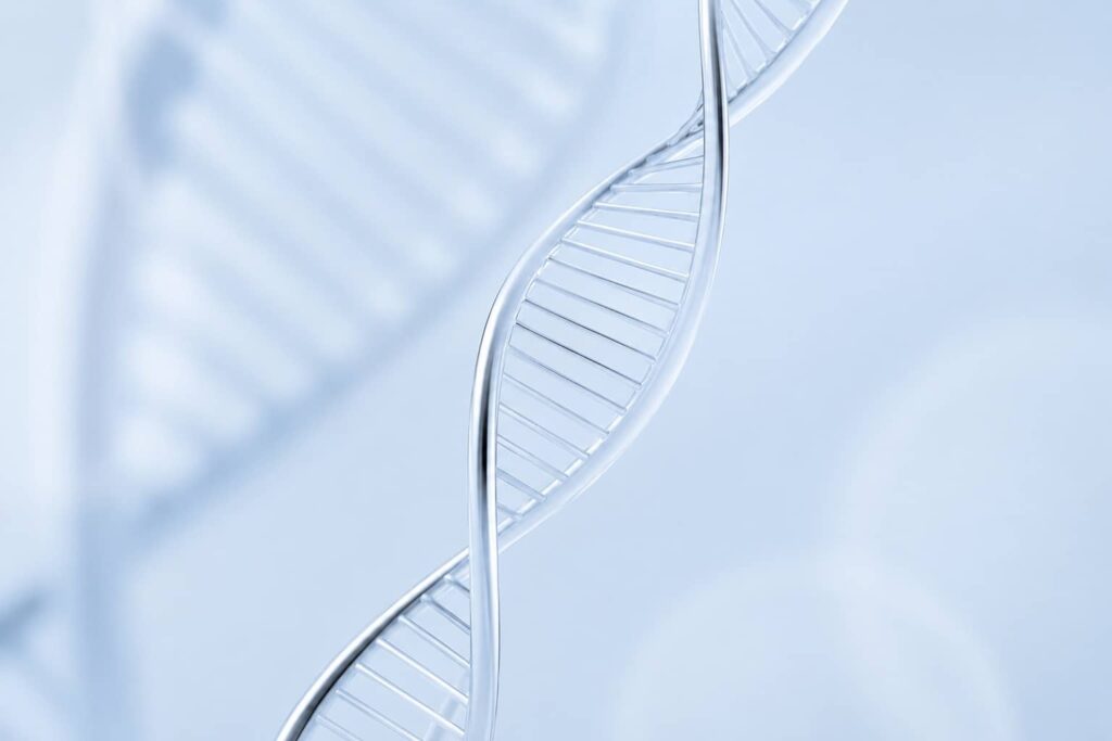 DNA Repair Hautschäden